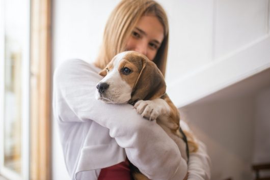Mädchen mit einem Beagel Hund auf dem Arm